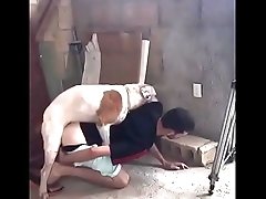 Dog fuck  Arab Gay